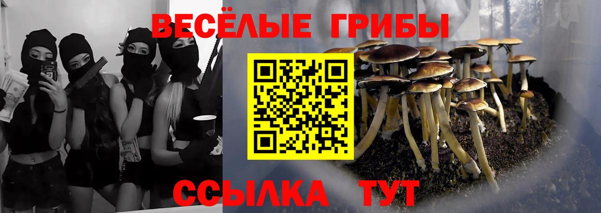 Псилоцибиновые грибы мухоморы Кисловодск