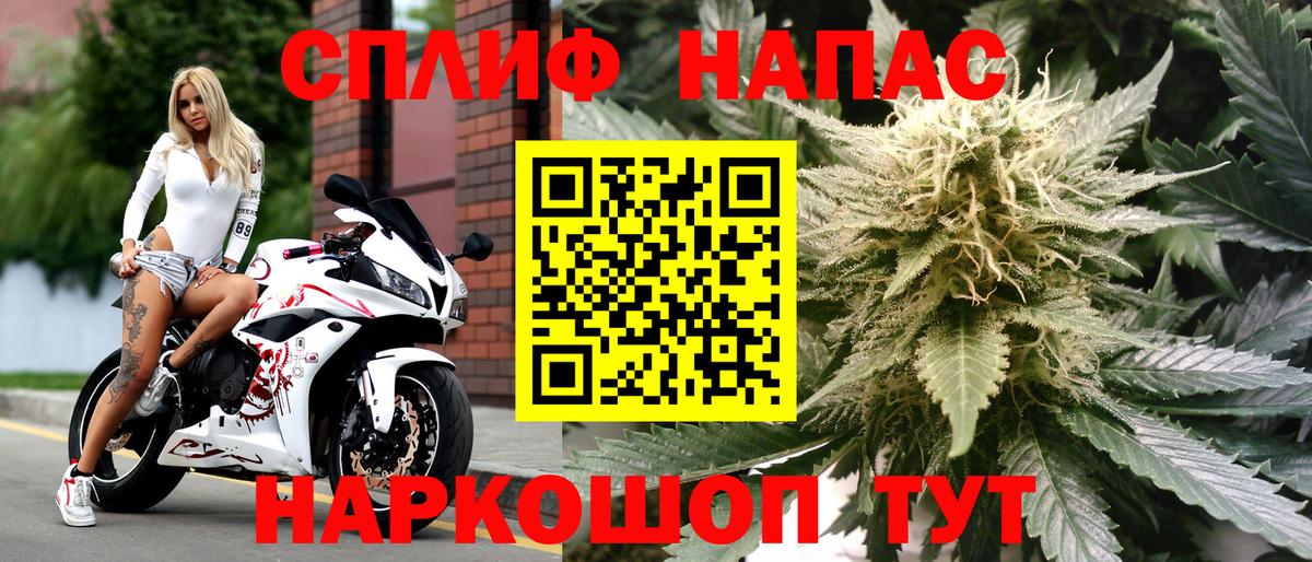 Бошки Шишки семена Кисловодск
